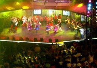 Labor preventiva de SEC colabora a que el Festival del Huaso de Olmué haya sido un éxito