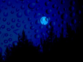 SEC formula cargos contra trece eléctricas  de regiones por prolongados cortes de luz