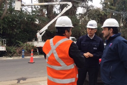 Ministro de Energía y Superintendente SEC fiscalizan plan de poda de árboles de eléctricas