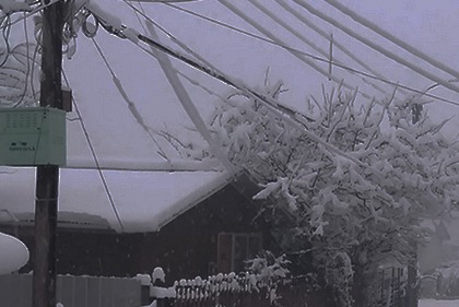 SEC fiscaliza pago de $5.960 millones en  compensaciones por cortes de junio y julio