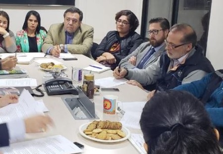 Representantes de 400 familias de Osorno exponen ante la SEC dudas sobre el servicio de gas natural que reciben en sus casas