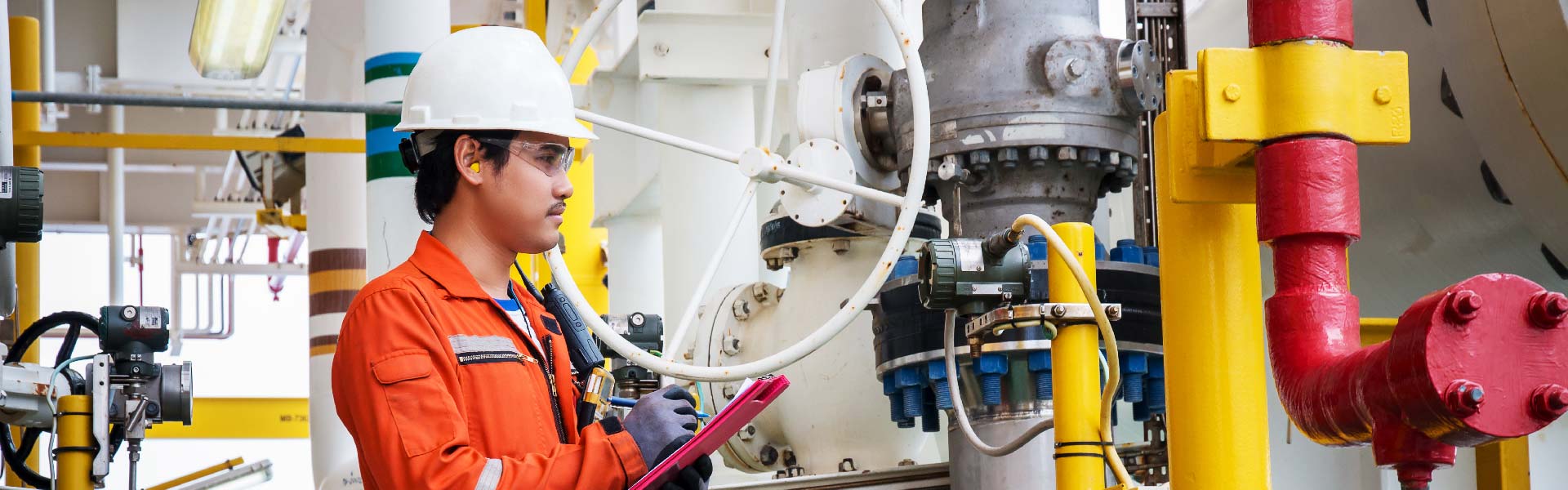 Gasoductos, GNL y Biogás