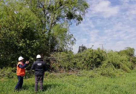 SEC Ñuble monitorea funcionamiento de redes eléctricas tras corte de luz que afectó a la comuna de San Fabián