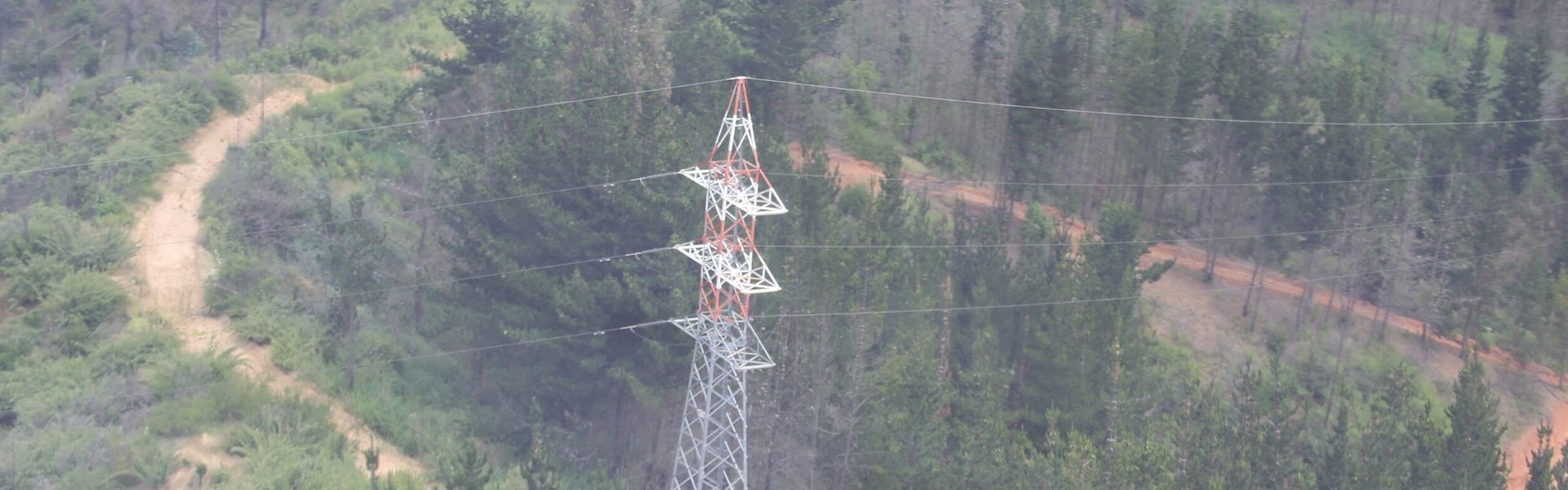 SEC Los Ríos instruye a eléctricas que adopten medidas por alerta meteorológica para entregar un suministro continuo