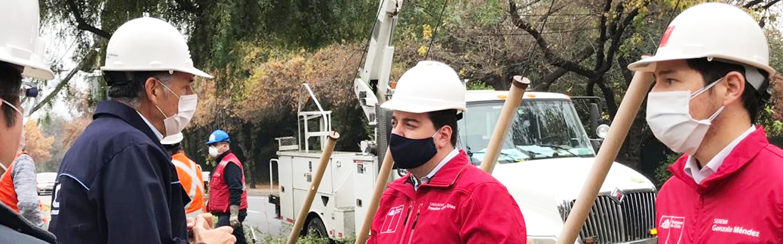 Ministro (s) de Energía y Superintendente SEC fiscalizan poda de árboles ante anuncio de lluvias