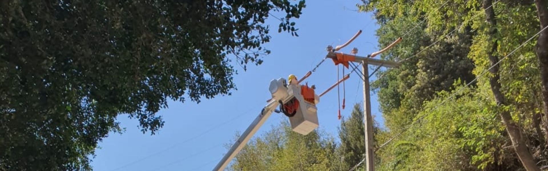 SEC fiscaliza cumplimiento de planes de acción instruidos en el Alto Bio Bío para prevenir cortes de luz