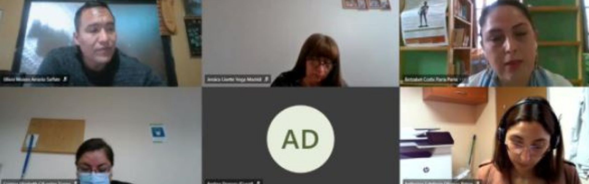 SEC Arica y Parinacota capacita a funcionarios del Servicio Local de Educación para un uso seguro de los energéticos en colegios de la región