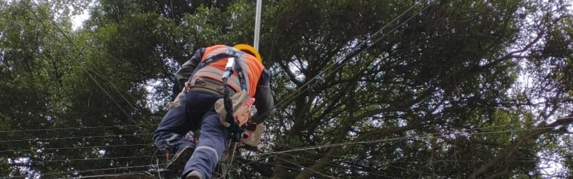 SEC Biobío fiscaliza calidad del suministro eléctrico entregado por CGE en sector Barrio Norte de Concepción