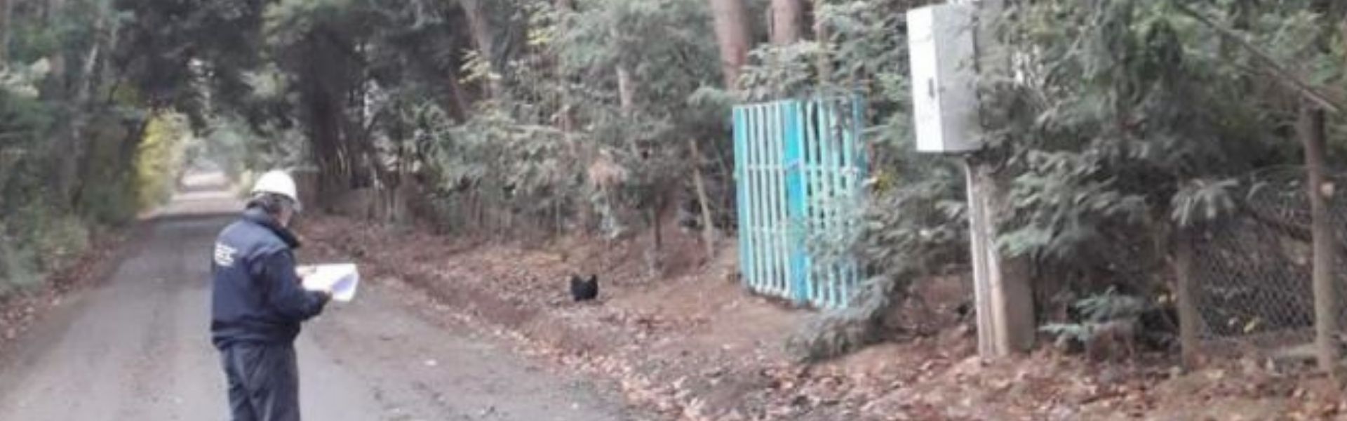 SEC Maule instruye a CGE ejecutar planes de acción para mejorar la calidad del servicio en Teno y Romeral