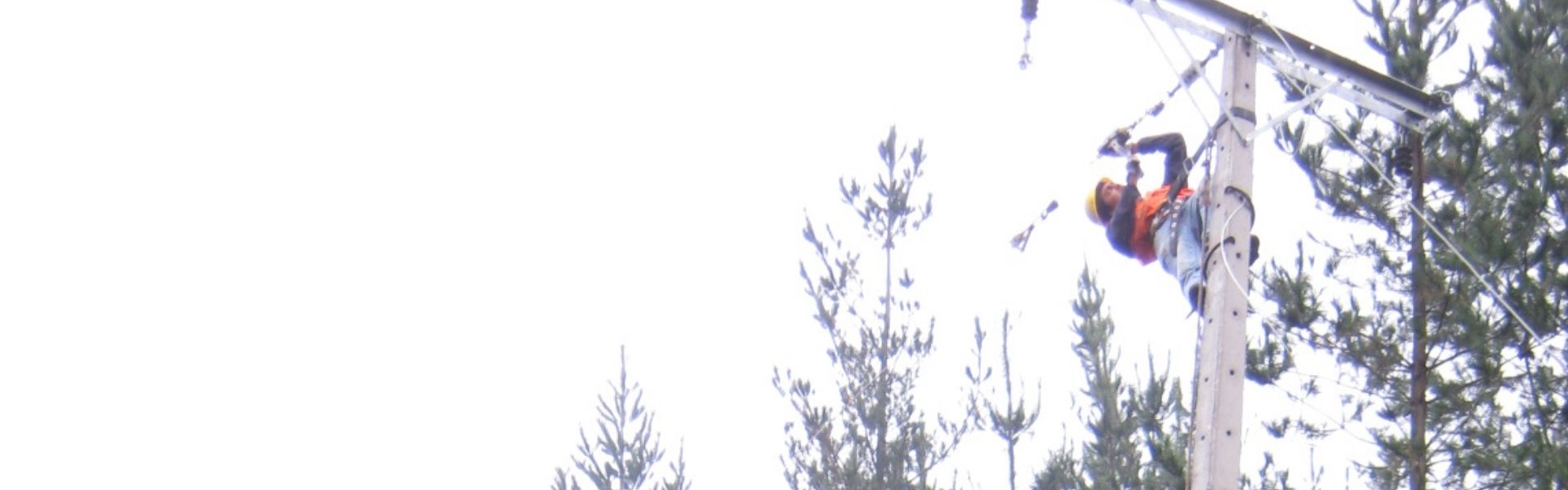 SEC ordena a CGE presentar nuevos planes de mantención tras los insuficientes resultados en nueve comunas del país