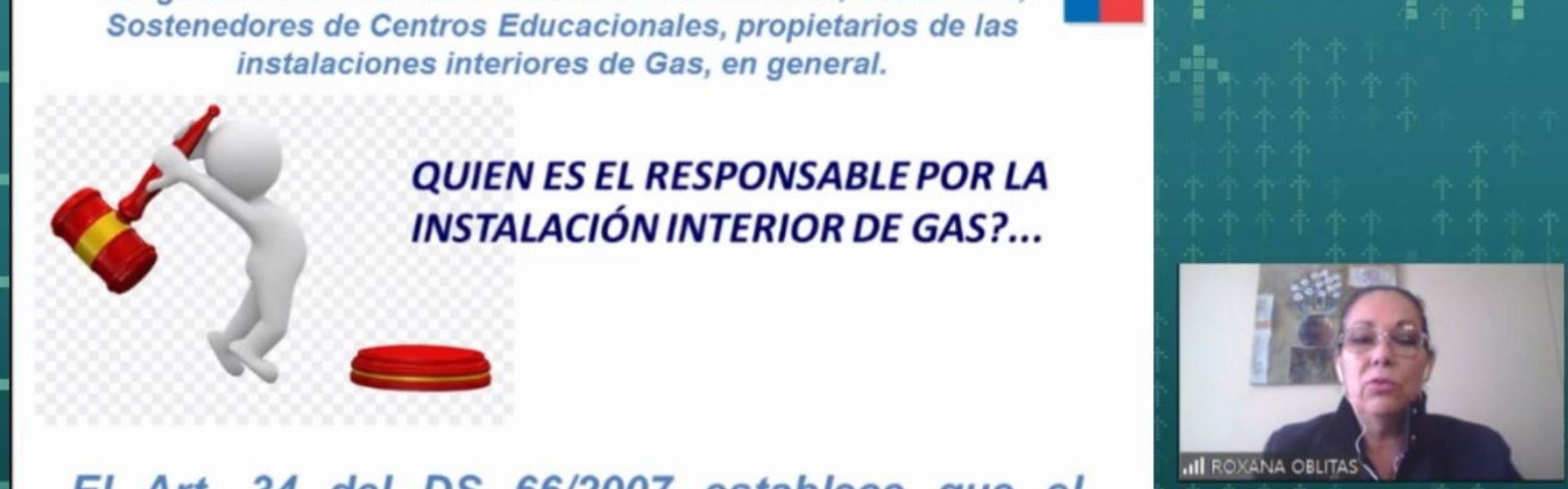 SEC Antofagasta expone en seminario online norma que regula inspección periódica de las instalaciones de gas
