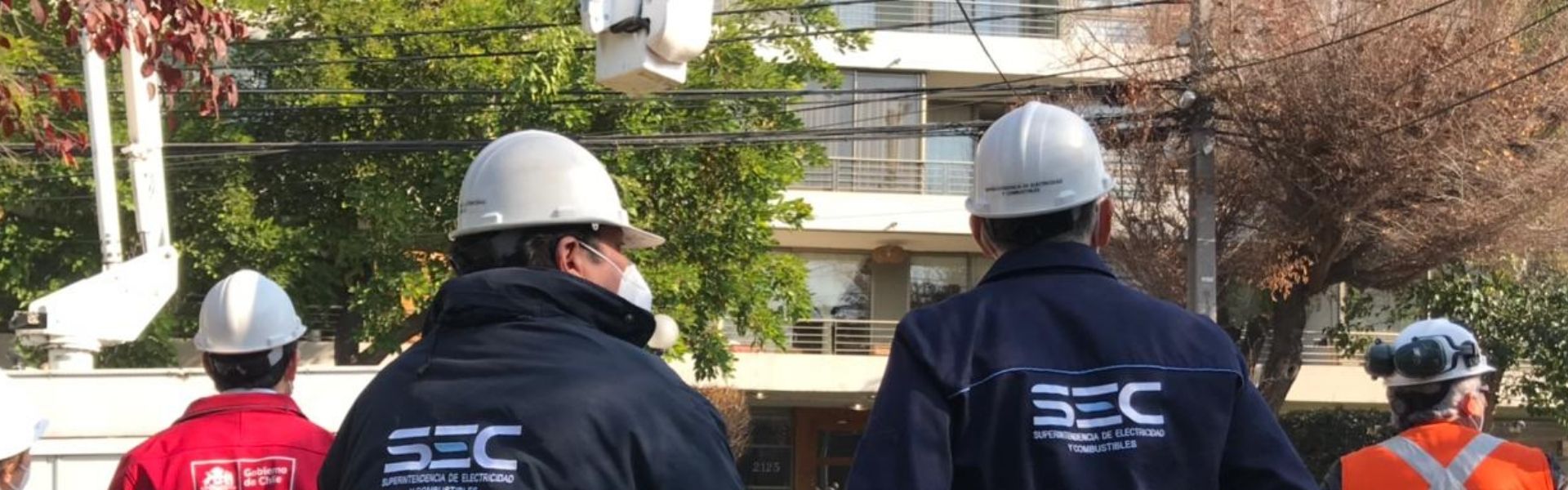 Subsecretario de Energía y Superintendente SEC encabezan fiscalización de poda de árboles para evitar cortes de luz