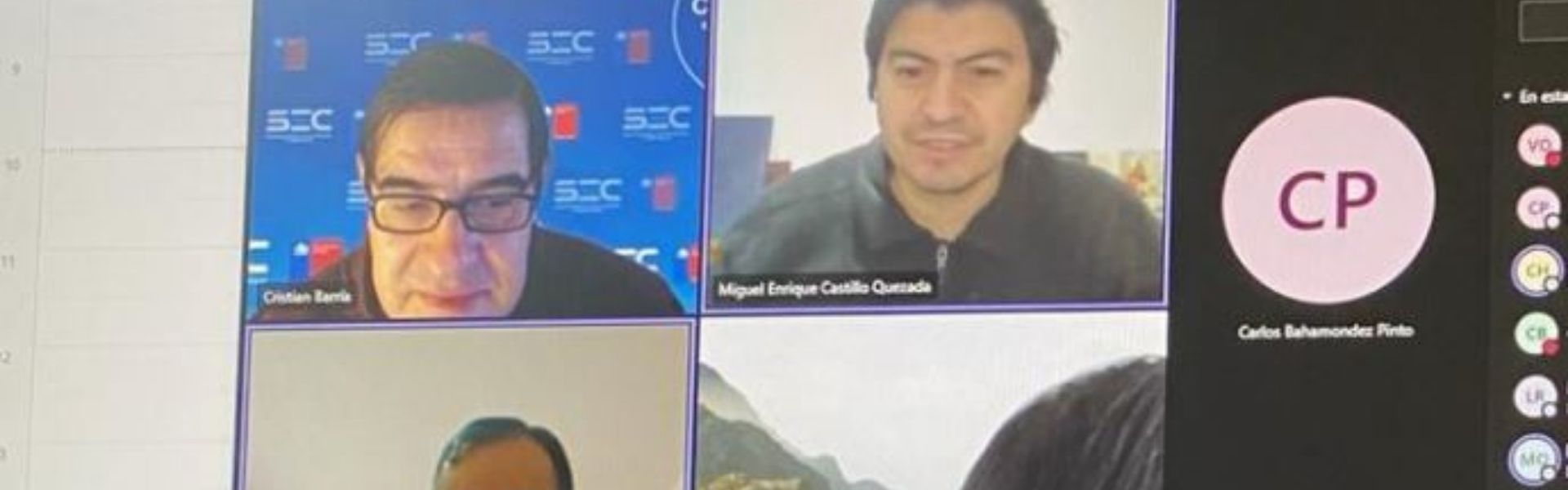 SEC Ñuble analiza nivel de avance de los planes instruidos a CGE en Cobquecura y San Fabián