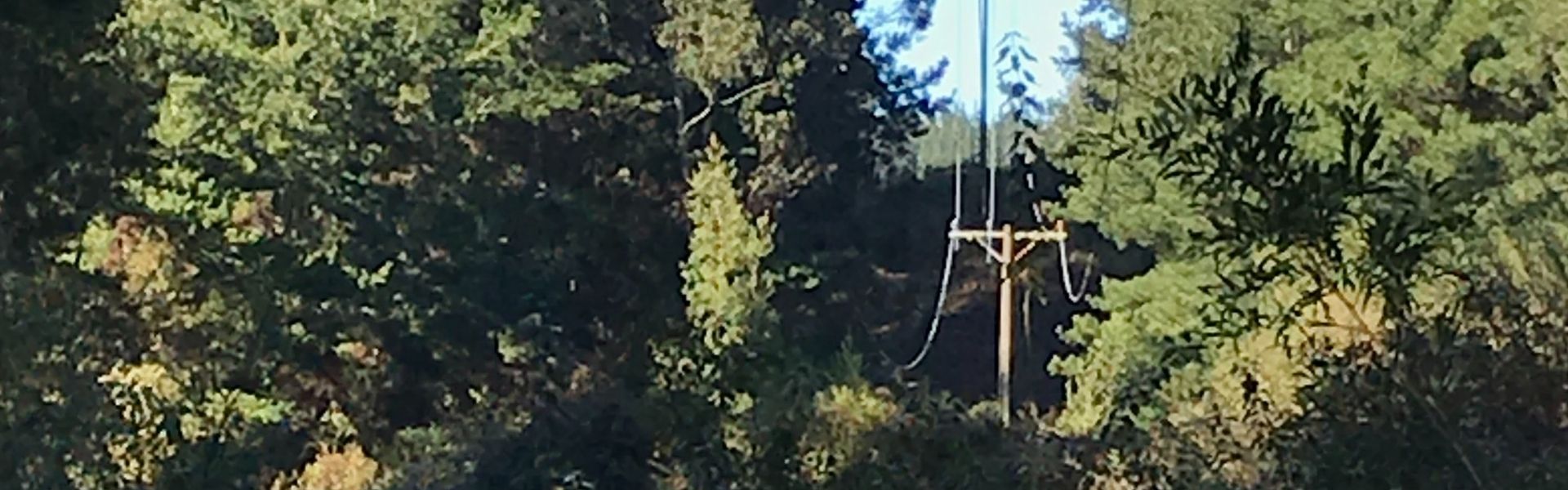 SEC Biobío formuló cargos a CGE tras detectar fallas en planes de acción realizados en San Pedro de la Paz y Coronel