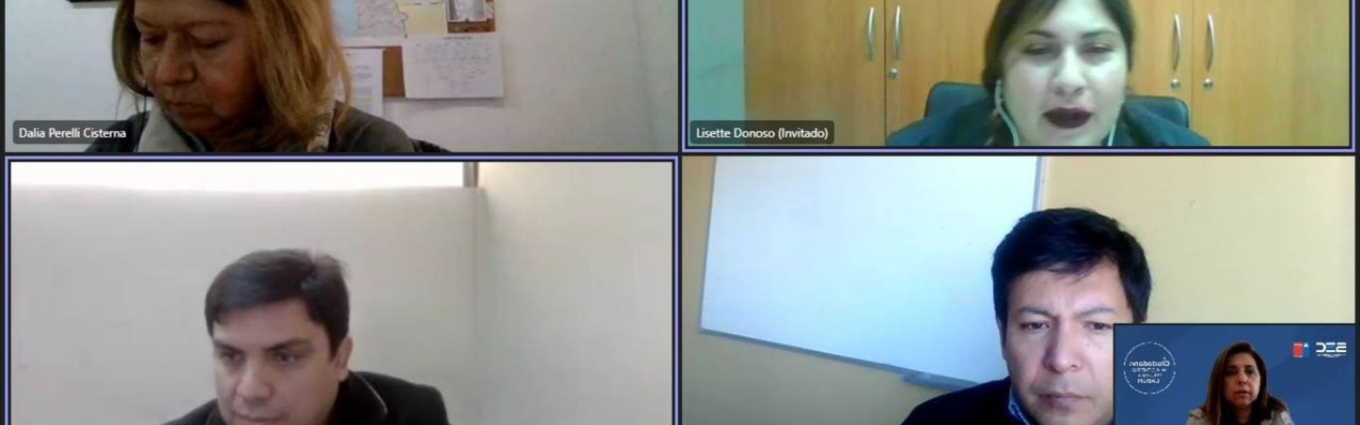 SEC Coquimbo exige a CGE planes especiales para mejorar niveles de operación de la red en Río Hurtado