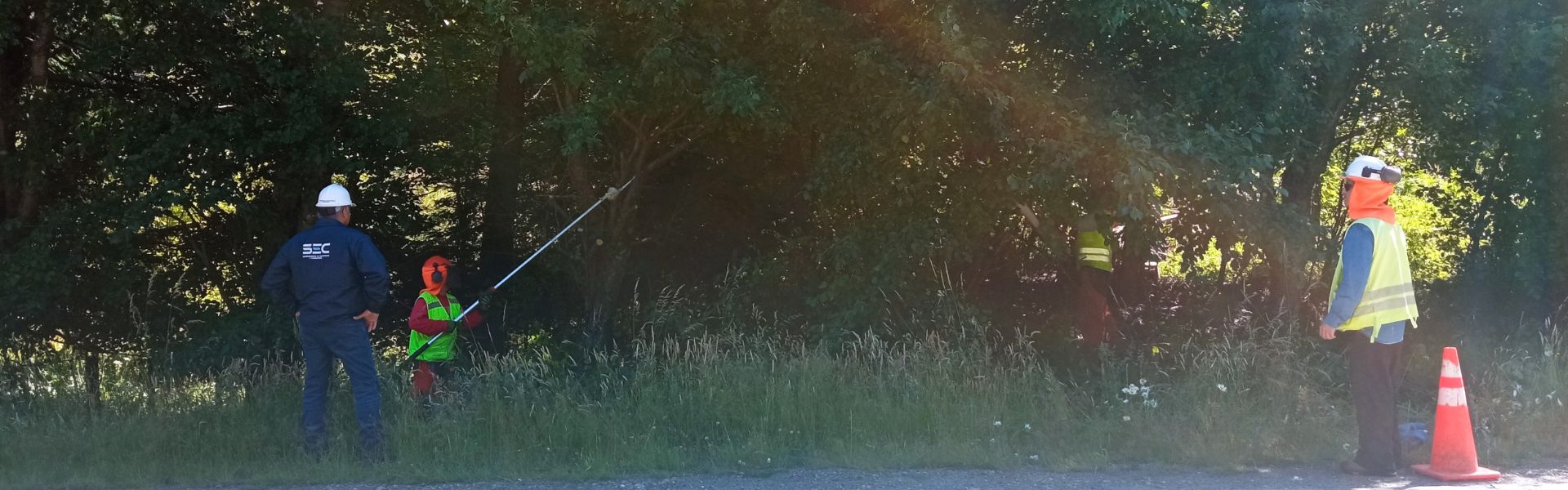 SEC Aysén fiscaliza ejecución de podas y despeje de líneas eléctricas para la disminución de situaciones de riesgo