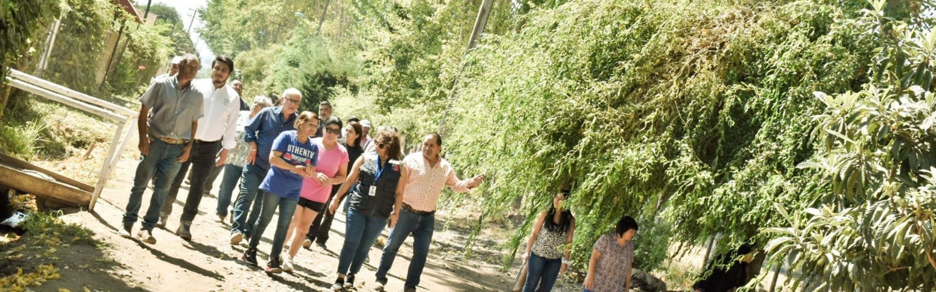 SEC Maule instruye a CGE ejecutar trabajos de poda en sector de Vista Hermosa tras reclamos de la comunidad