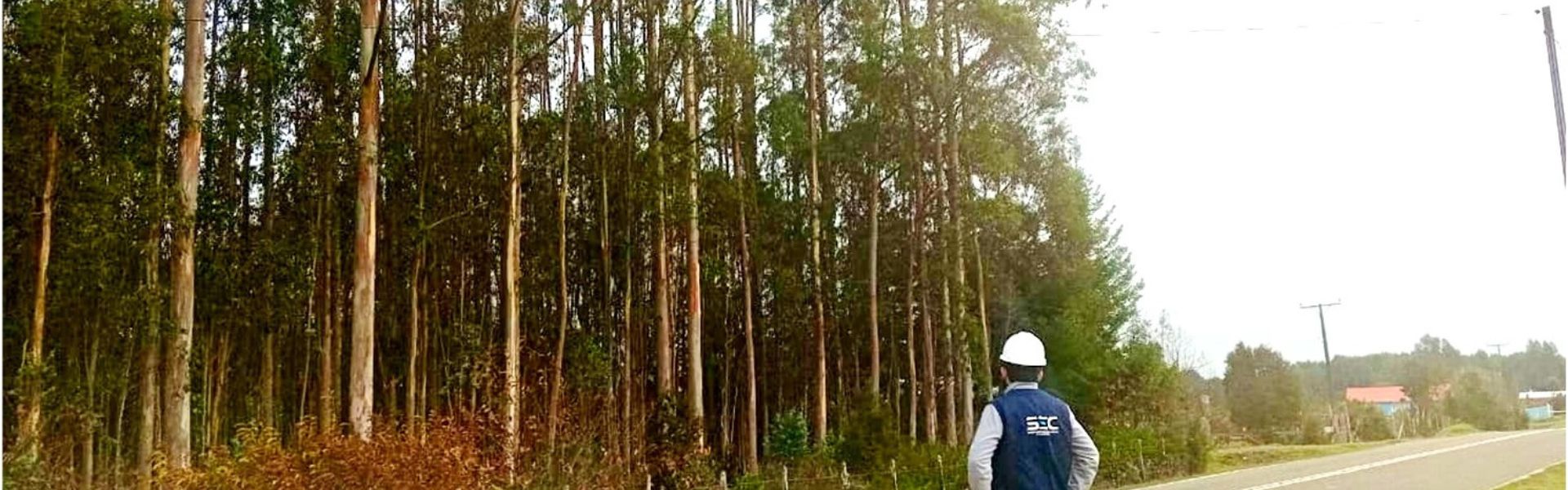 SEC Los Lagos fiscaliza trabajos de podas y despeje de líneas eléctricas para evitar cortes de energía durante el invierno