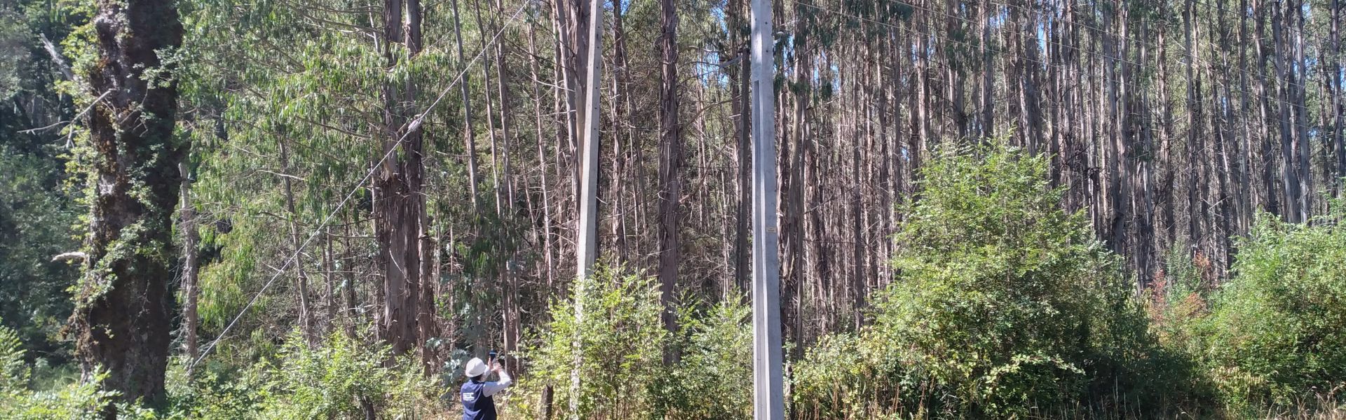 SEC Los Ríos formula cargos a Cooperativa SOCOEPA de Paillaco por falta de mantención en instalaciones eléctricas