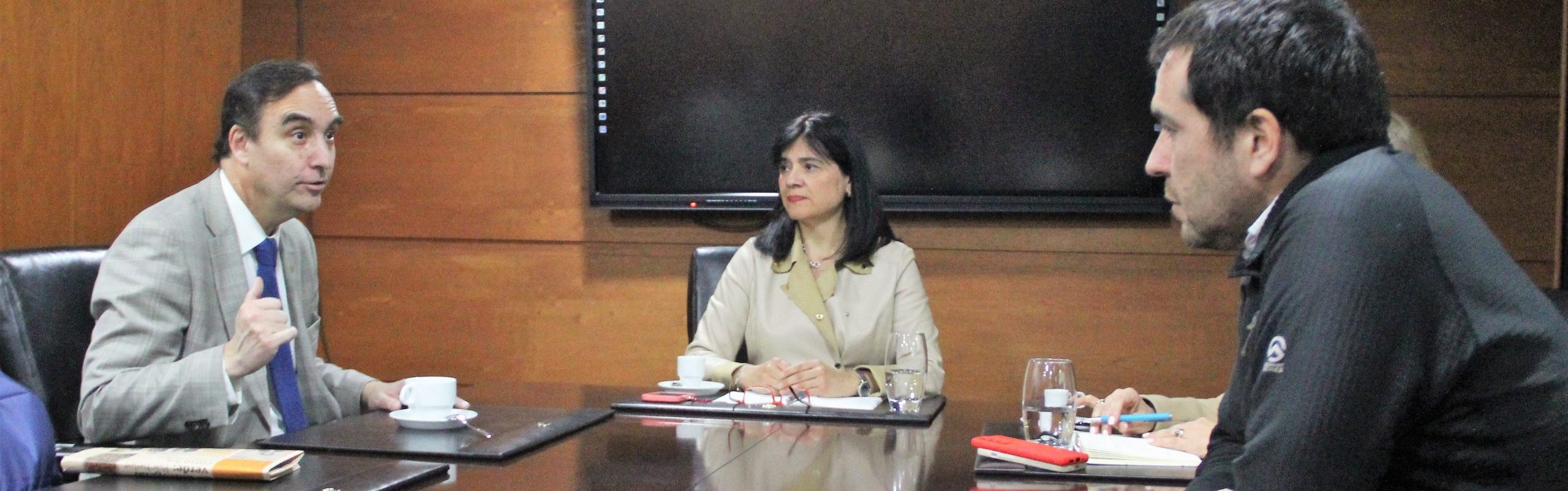 Superintendenta SEC se reúne con Gobernador de Magallanes para potenciar desarrollo del Hidrógeno Verde