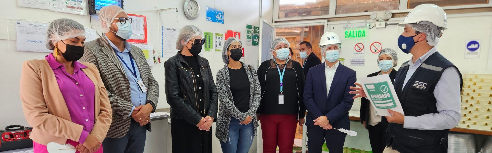 SEC Arica y Parinacota informa que el 63 por ciento de los establecimientos educacionales de la región cuentan con su Sello Verde al día