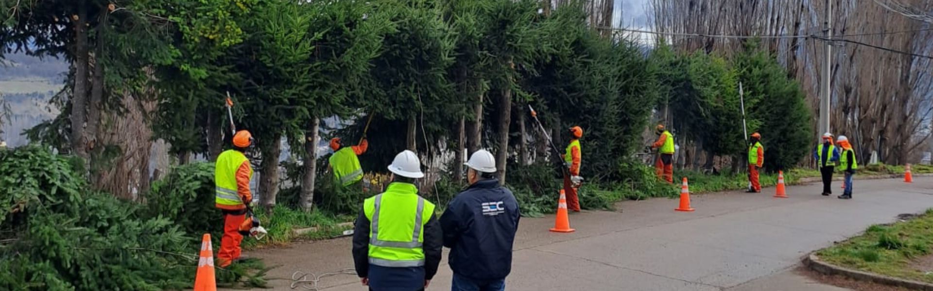 SEC Aysén fiscaliza trabajos de podas y despeje de líneas eléctricas para evitar cortes de energía en temporada estival