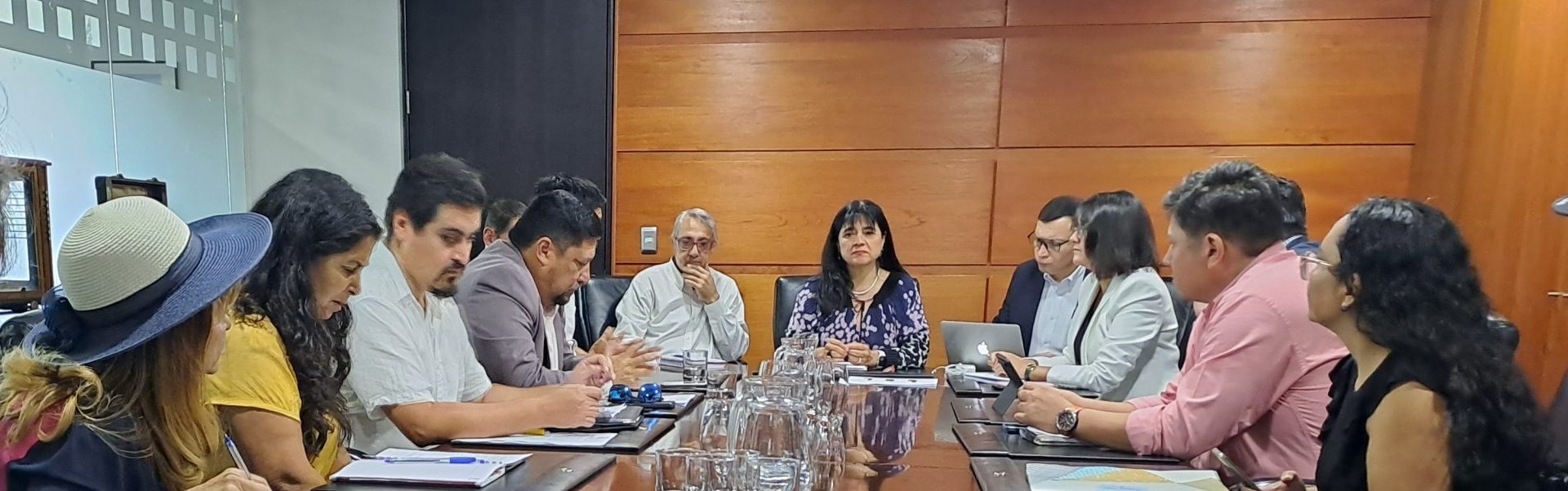 SEC recoge reclamos de autoridades y vecinos  de El Bosque por problemas del servicio eléctrico