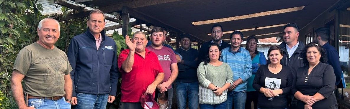 SEC Araucanía continúa trabajando para llevar la electricidad a familias de sectores rurales de la región