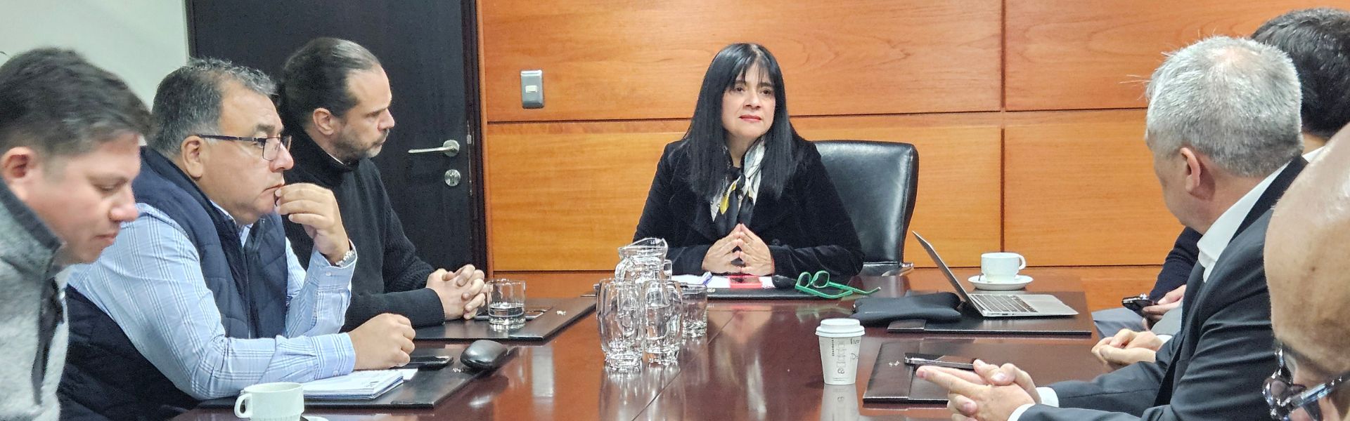 SEC convoca nuevamente a máximos ejecutivos de ENEL para exigir medidas ante sistema frontal