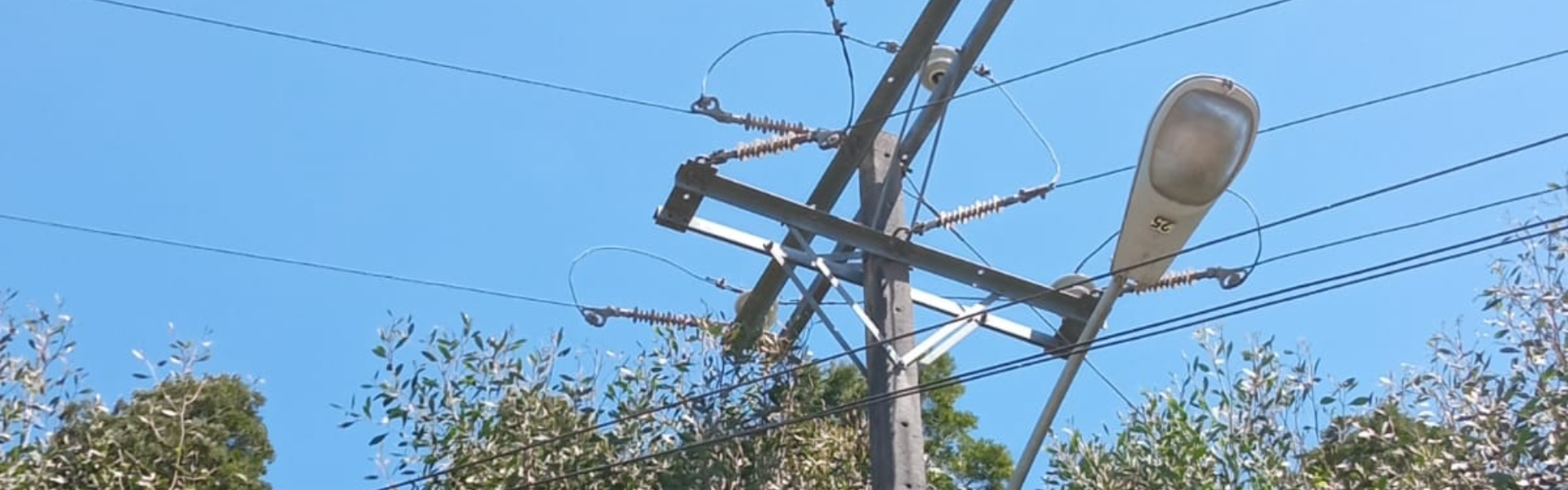 SEC Biobío sanciona a FRONTEL por más de $46 millones tras incumplimiento de poda y despeje en Curanilahue y Arauco