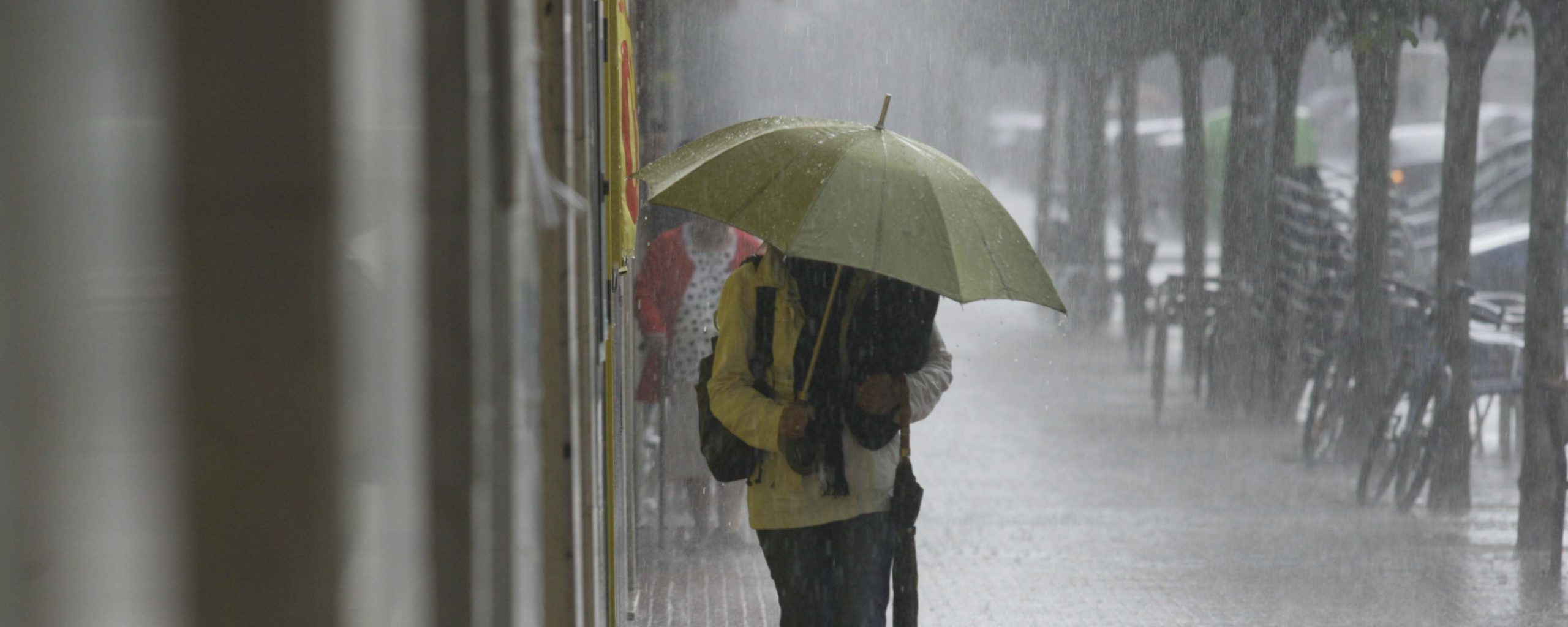 SEC multa con más de $2 mil 400 millones a eléctricas del centro sur por cortes de agosto 2024