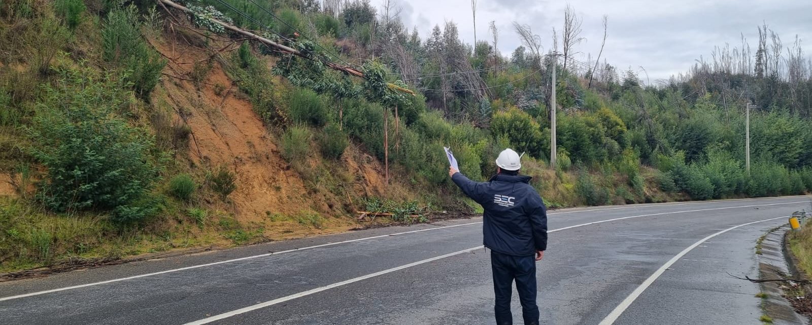 SEC formula cargos a empresas de las regiones de Bío Bío y Araucanía por demora en reposición de la luz