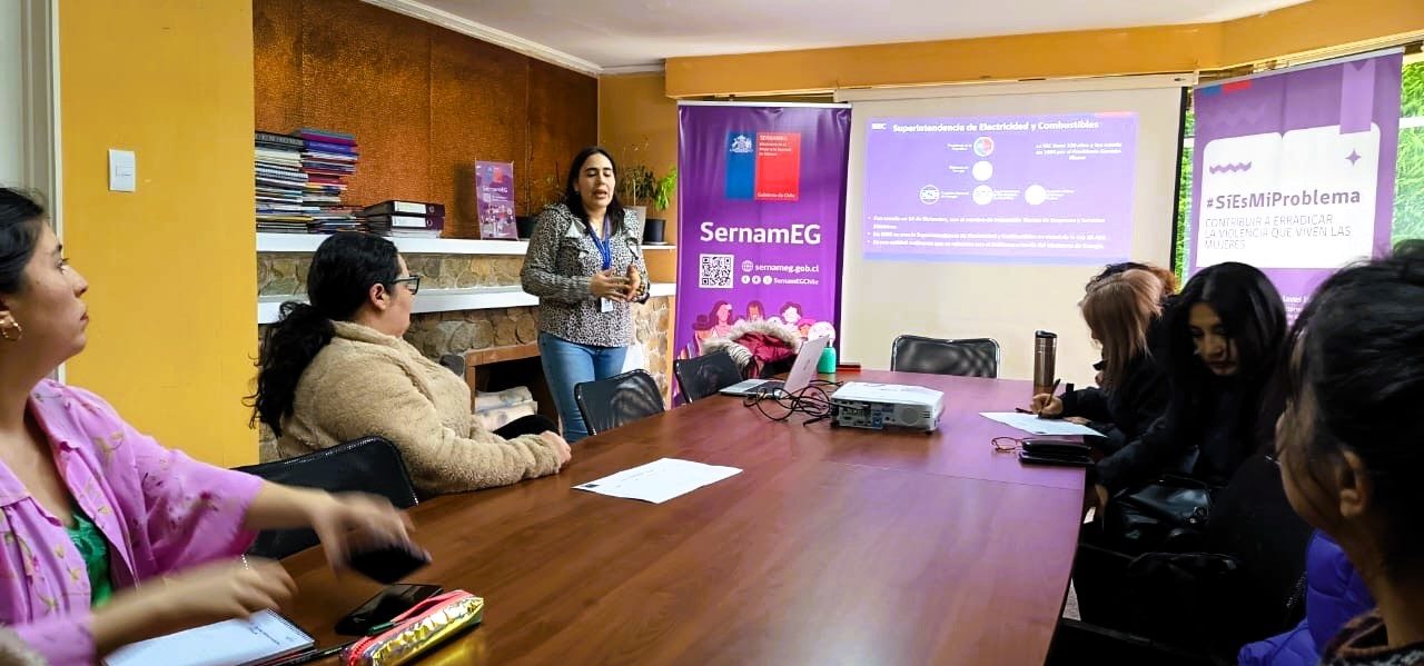 SEC Magallanes realiza ciclo de Talleres de Energía Segura y Eficiente para Mujeres Jefas de Hogar