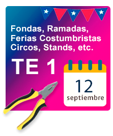 TE1 provisorio por fiestas patrias